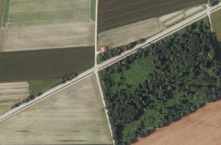 Immobilie kaufen in 85737 Ismaning, „AUSGLEICHSFL. / VIELFÄLTIGER BAUMBESTAND AUF 6,9 HA“NATURNAHER WALD IN 85737 ISMANING