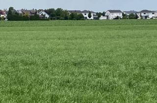 Gewerbeimmobilie kaufen in 88457 Kirchdorf, Ca. 4 ha landwirtschaftliche Flächen am Ortsrand!