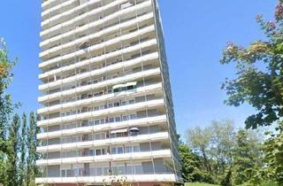 Wohnung kaufen in 77933 Lahr, Lahr - Kapitalanleger aufgepasst!