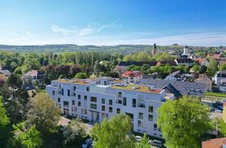 Penthouse mieten in Herrenmühlstraße, 97980 Bad Mergentheim, Penthouse in bester Wohnlage
