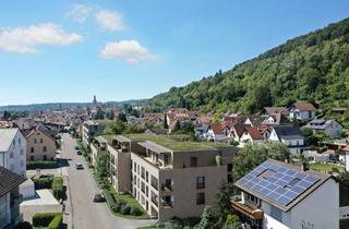 Penthouse mieten in 79761 Waldshut-Tiengen, Exklusive Neubau-Mietwohnungen - D05