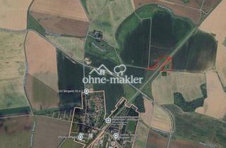 Grundstück zu kaufen in 06901 Kemberg, Landwirtschaftliche Fläche in Bergwitz zu verkaufen – provisionsfrei