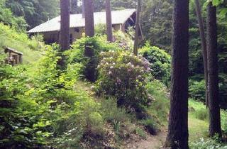 Haus kaufen in 66969 Lemberg, Lemberg - Provisionsfrei! Liebhaberobjekt Wasgau-Felsenland