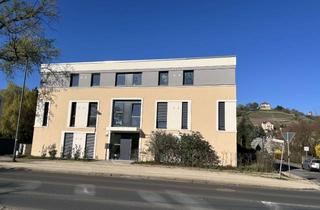Wohnung kaufen in Meißner Straße 324, 01445 Radebeul, Exklusive 4-Zimmer Neubau-Wohnung mit 113 m² in Radebeul - Erstbezug