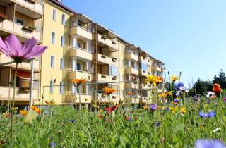 Wohnung mieten in Otto-Lilienthal-Straße 23, 08468 Reichenbach, Deine ersten 4 Wände - ideal für Azubis! Gemütliche 2-Raum-Wohnunng mit Balkon ab Juli ...