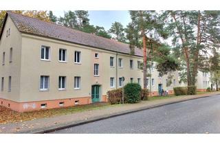 Wohnung mieten in Geschwister-Scholl-Straße 16, 14727 Premnitz, schöne 3 Zimmer in ruhiger Lage in Premnitz