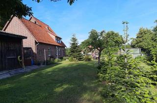 Wohnung mieten in 29559 Wieren, Hübsche Wohnung in Wieren