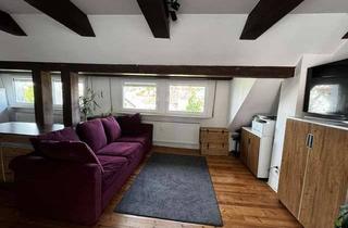 Wohnung mieten in 61137 Schöneck, 360 Grad Dachbalkon über den Dächern