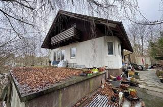 Einfamilienhaus kaufen in 57644 Hattert, Einfamilienhaus mit Einliegerwohnung auf großem Grundstück