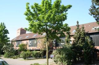 Haus mieten in Wallgartenstraße 19C, 31303 Burgdorf, Citynahes Reihenhaus mit pflegeleichtem Garten!