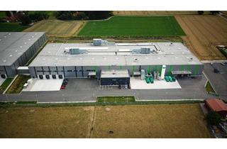 Gewerbeimmobilie mieten in Röntgenstraße 20-22, 31737 Rinteln, Logistikhalle aus 2021 | 24/7-Betrieb genehmigt