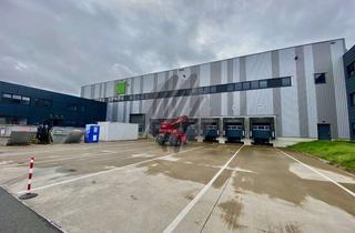 Büro zu mieten in 35415 Pohlheim, SCHNELL VERFÜGBAR ✓ Lager-/Logistik (9.500 m²) & kleine Büro-/Sozialflächen zu vermieten