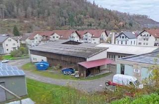 Gewerbeimmobilie mieten in Breslauer Straße, 72172 Sulz, Lager-/Produktionshalle in Sulz am Neckar