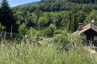 Grundstück zu kaufen in 69151 Neckargemünd, 4000 m² Baugrundstück mit sanierungsbedürftigem Haus und Garagen