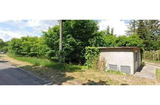 Grundstück zu kaufen in Strasse Des Friedens 1 b, 15306 Lindendorf, Unbebautes Grundstück in schöner Oderbruchlandschaft in Sachsendorf/Oderbruch