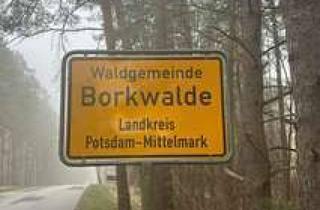 Grundstück zu kaufen in 14822 Borkwalde, 610m2 Bauland für Dein Bauprojekt !