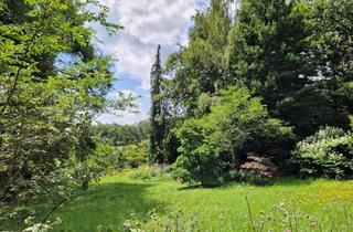Grundstück zu kaufen in Viehweideweg 18, 65719 Hofheim am Taunus, Großes Grundstück mit Bauplatz - naturnahe und unverbaubare Lage