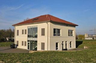 Büro zu mieten in 49124 Georgsmarienhütte, Junges, schickes Bürogebäude