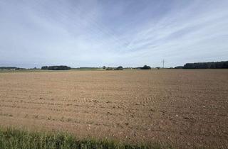 Gewerbeimmobilie kaufen in 83349 Palling, Attraktive Ackerfläche in der Gemeinde Palling, Landkreis Traunstein