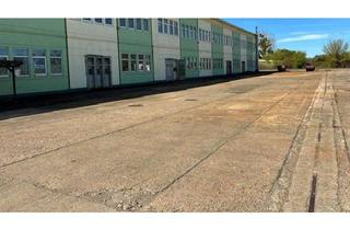 Gewerbeimmobilie mieten in Kruseshofer Straße 21, 17036 Neubrandenburg, 1.000 bis 3.000 m² Gewerbefläche in Neubrandenburg – flexibel anmietbar (Lager, Fuhrpark & Logistik)