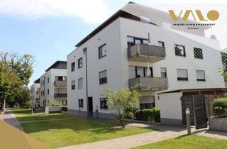 Wohnung mieten in Gardeschützenweg 45, 12203 Lichterfelde, Moderne 2-Zimmer-Wohnung mit Terrasse in Berlin