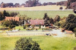 Einfamilienhaus kaufen in 32049 Herford, Großzügiges Einfamilienhaus mit Weitblick, Pferdehaltung und außergewöhnlichem Grundstück in Herford