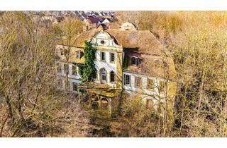Haus kaufen in 91471 Illesheim, HEGERICH: Denkmalgeschütztes Schloss mit großem Potential in Illesheim