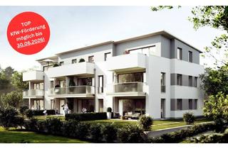 Penthouse kaufen in 79283 Bollschweil, WE 10 - EIN KLEINES PARADIES