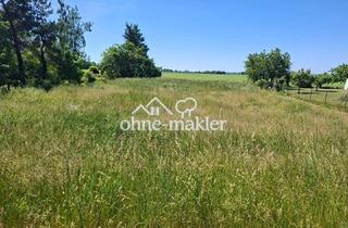 Immobilie kaufen in Ratsstr. /, 16259 Bad Freienwalde, Unbebautes Grundstück, plus Ackerfläche provisionsfrei, in Neuwustrow/Oderbruch zu verkaufen
