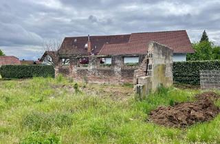 Immobilie kaufen in 63633 Birstein, *** Wo Geschichte auf Rendite trifft - voll erschlossenes Grundstück- Birstein-OT***