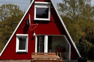 Haus kaufen in 38899 Hasselfelde, Oberharz am Brocken - Haus im Harz - Nurdachhaus -Stiege - Riesiges Grundstück