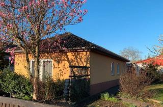 Einfamilienhaus kaufen in 39110 Magdeburg, Magdeburg - Einfamilienhaus + Gartenbungalow in Toplage