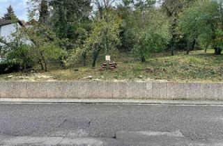 Haus kaufen in 66969 Lemberg, Lemberg - Schönes Grundstück in Lemberg zu verkaufen