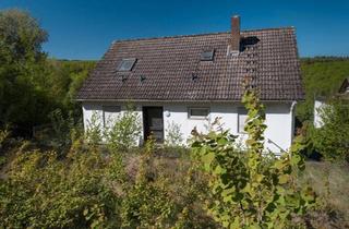 Einfamilienhaus kaufen in 65385 Rüdesheim am Rhein, Rüdesheim am Rhein - Freistehendes Einfamilienhaus mit großem Grundstück am Waldrand