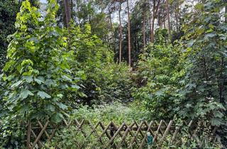 Grundstück zu kaufen in 14621 Schönwalde-Glien, Ihr Traum vom Eigenheim – Baugrundstück in naturnaher Lage
