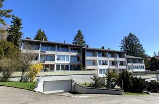 Wohnung kaufen in Karl-Röhrig-Str., 38700 Braunlage, Ein echtes Highlight: 2-Zimmer in sonniger, ruhiger Lage direkt am Wald