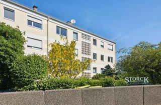 Wohnung kaufen in 66955 Pirmasens, Neu renovierte, 3 Zimmer, Küche und Bad Wohnung mit Balkon und Garage, PS-Ruhbank