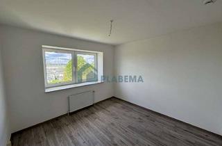 Wohnung mieten in Am Hafen 14, 19386 Lübz, Frisch renoviert, 2 Zimmer, 1. OG, neue EBK möglich