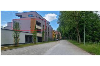 Wohnung mieten in Wertachweg 12, 87600 Kaufbeuren, Stilvolles Wohnen im Neubau – 2-Zimmer-Wohnung, Blick ins Grüne und Designer-Küche - Erstbezug