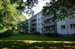 Wohnung mieten in Johannes-R.-Becher-Str. 57, 14478 Waldstadt I, 3. Zimmer in Waldstadt