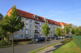 Wohnung mieten in Elisabethstraße 41, 37339 Leinefelde-Worbis, hu hu - diese Wohnung ist zu haben