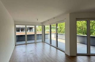 Wohnung mieten in 33129 Delbrück, 2-Zimmer-Wohnung mit großer Dachterrasse und Waldblick