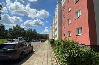 Wohnung mieten in Trattendorfer Straße 22, 03048 Sachsendorf, Klein aber fein! Frei ab sofort! / Small but nice! Available right away!