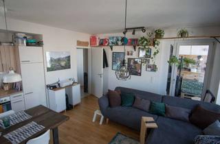 Wohnung mieten in Georg-Aichinger-Straße, 93055 Ostenviertel, Helle 2-Zimmer-Wohnung mit Balkon u. EBK