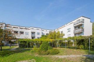 Wohnung mieten in Mirastr. 1A, 12529 Schönefeld, schöne 2-Zimmer-Wohnung mit Balkon und neuer Einbauküche