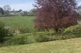 Wohnung mieten in 53332 Bornheim, Dachgeschoss Wohnung mit Fernblick