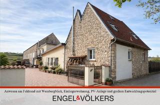 Haus kaufen in 67598 Gundersheim, Anwesen am Feldrand mit Weinbergblick, Einliegerwohnung, PV-Anlage und großem Entwicklungspotenzial