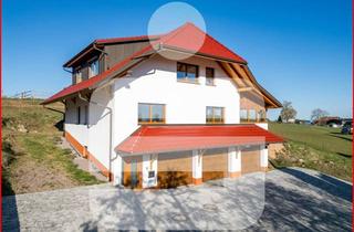 Haus kaufen in 79733 Görwihl, Platzwunder mit Alpenpanorama: Modernes Wohnen inklusive XL-Garagenwelt - VIDEO VORHANDEN!!!