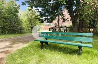 Haus kaufen in 29468 Bergen, Historische Hofstelle mit über 2 Hektar Land – Sanierungsobjekt mit freiem Blick in die Feldmark
