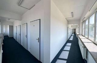 Gewerbeimmobilie mieten in An Der Steig 17, 55271 Stadecken-Elsheim, LAGERRÄUME 24/7 begehbar videoüberwacht